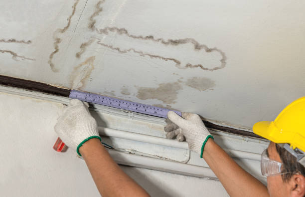 Reliable Mold Remediation contractor in Kearney, MO by Water Damage Irwin